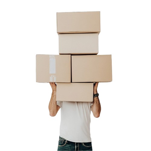 movers and packers in Al Barari Dubai